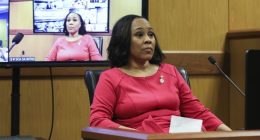 Fani Willis once again cries racism â this time smearing investigators looking into her possible misconduct